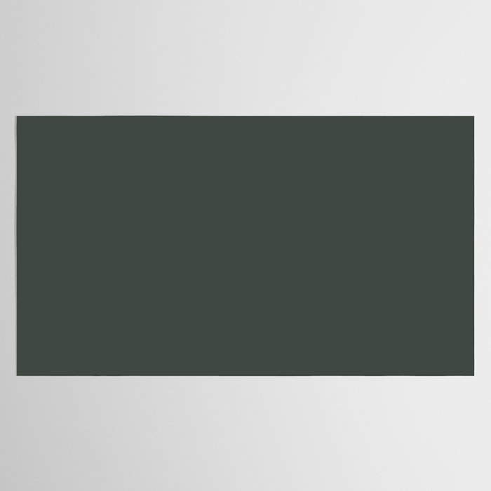 Neutral Sage Grey Solid Color Tablecloth Gallery Image 2