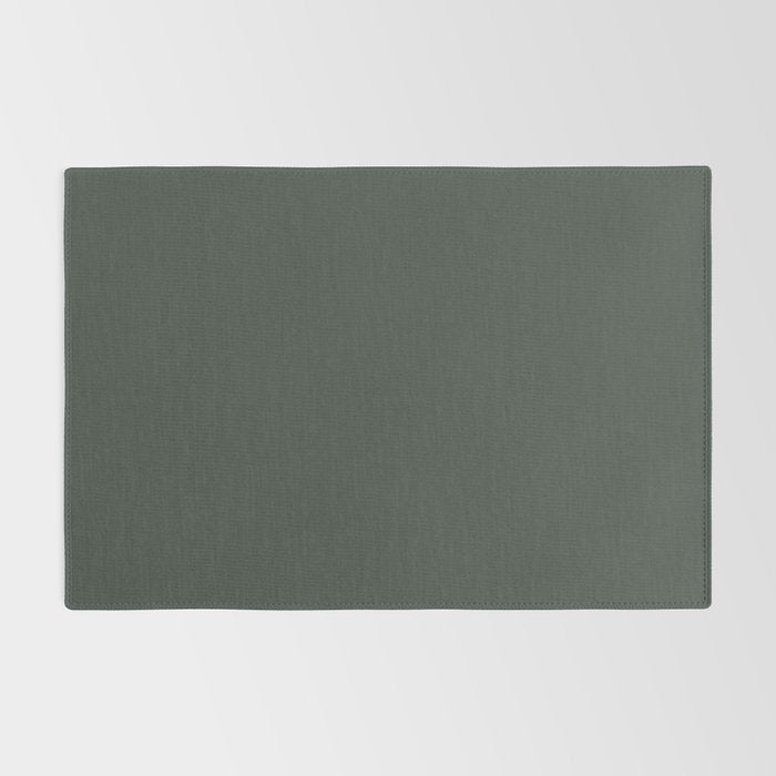 Neutral Sage Grey Solid Color Rug Gallery Image 2