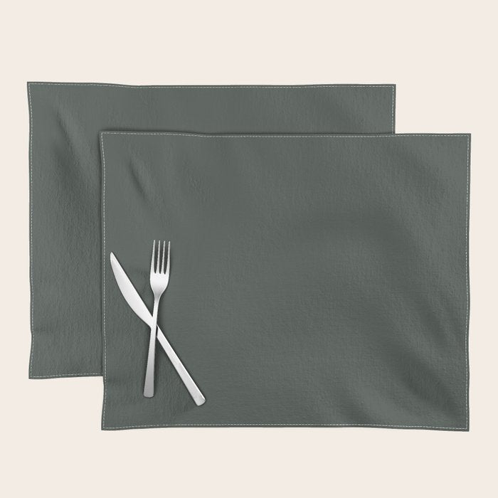 Neutral Sage Grey Solid Color Placemat Gallery Image 1