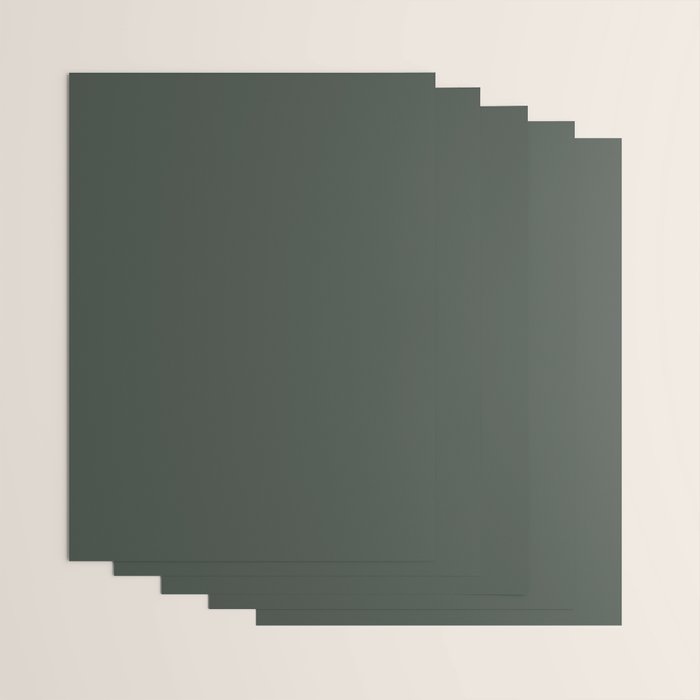 Neutral Sage Grey Solid Color Wrapping Paper Gallery Image 3