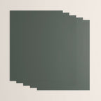 Neutral Sage Grey Solid Color Wrapping Paper Gallery Image 3
