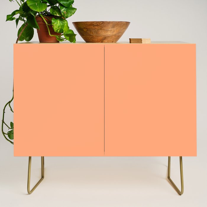 Apricot Peach Solid Color Credenza Gallery Image 1