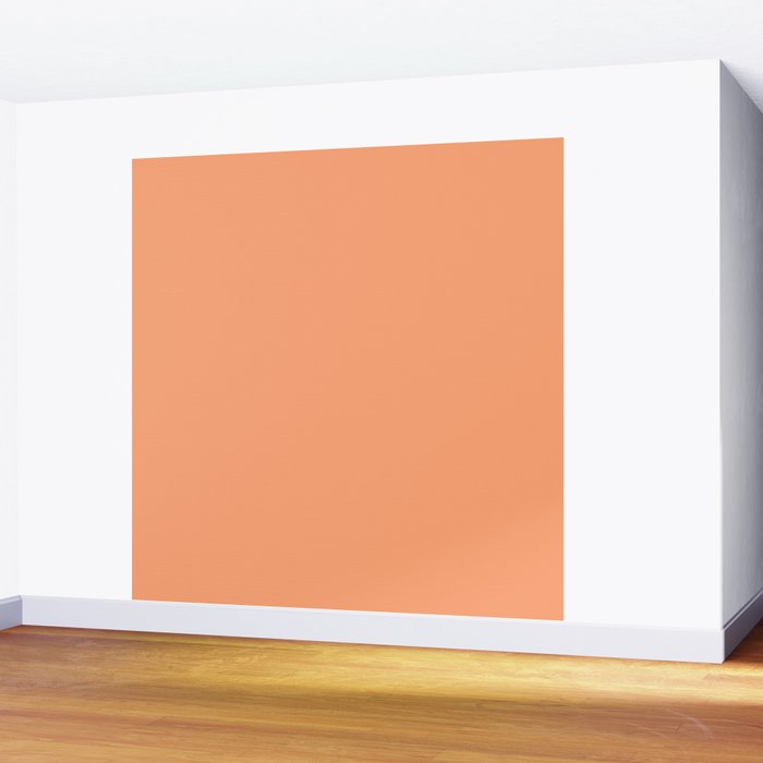 Apricot Peach Solid Color Wall Mural Gallery Image 2