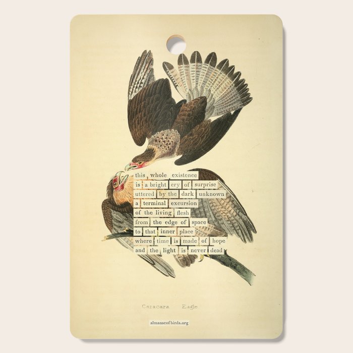 Bird Divinations: Caracara Eagle (about: almanacofbirds.org) Cutting Board Gallery Image 1