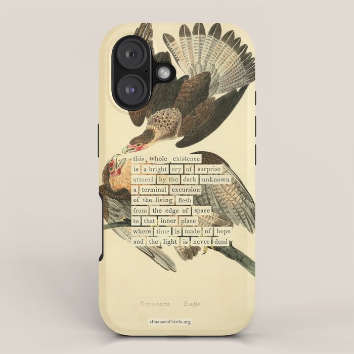 Bird Divinations: Caracara Eagle (about: almanacofbirds.org) iPhone Case Gallery Image 1