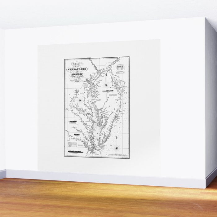 Chesapeake Bay & Delaware Bay Map Wall Mural Gallery Image 2