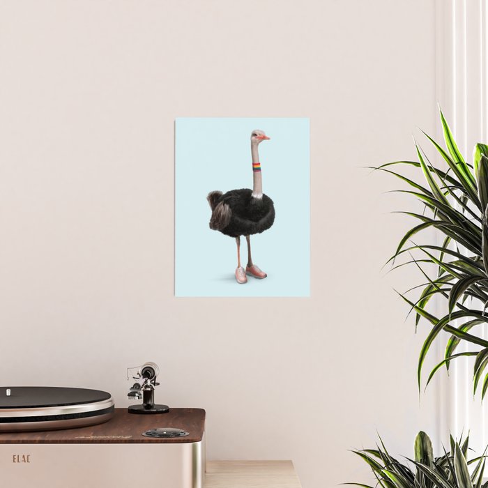 Sporty Ostrich Poster Gallery Image 2