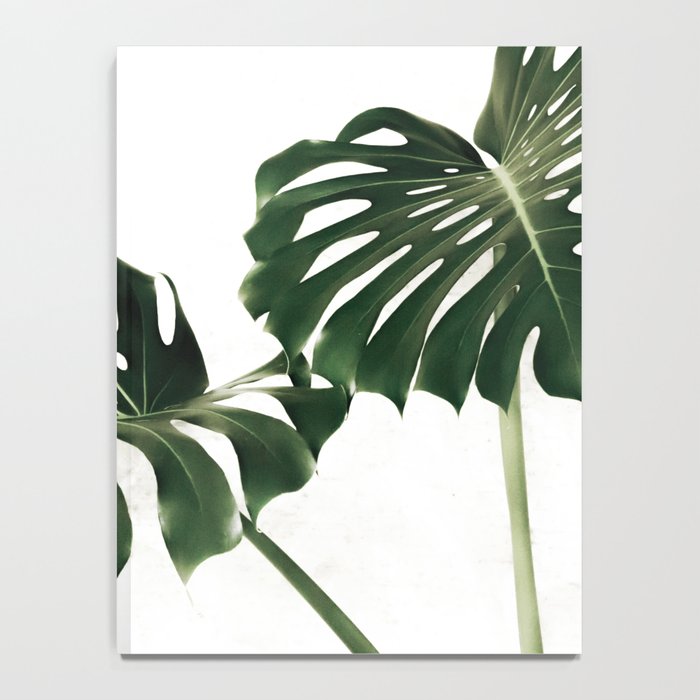 Minimalist Monstera Notebook Gallery Image 4