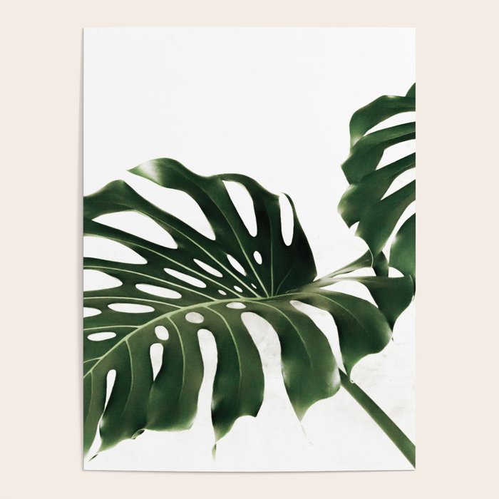 Minimalist Monstera Poster Gallery Image 1