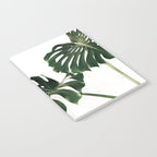 Minimalist Monstera Notebook Gallery Image 2