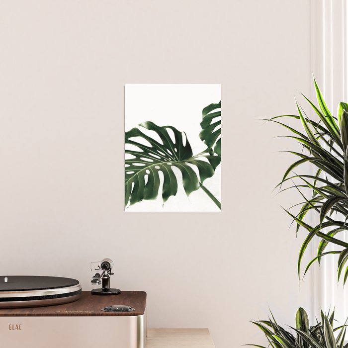 Minimalist Monstera Poster Gallery Image 2