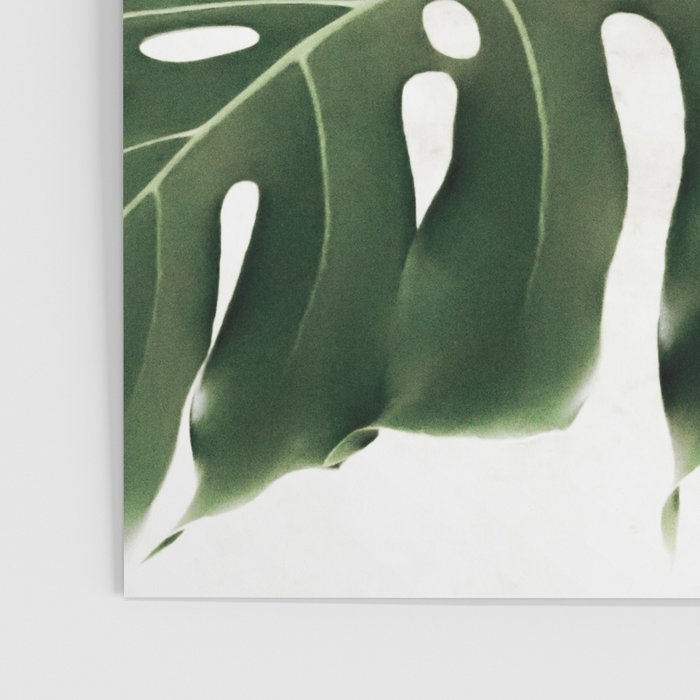 Minimalist Monstera Poster Gallery Image 3