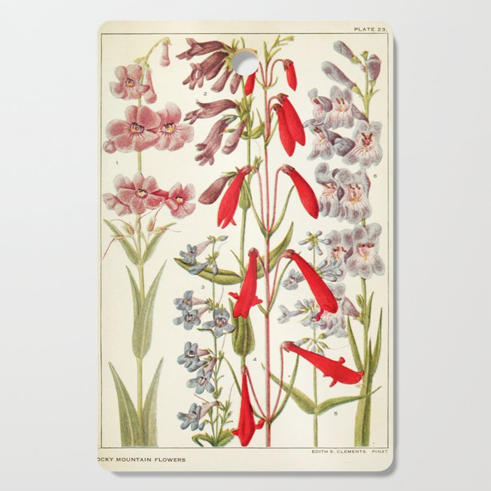Wildflowers from "Rocky Mountain Flowers" (1914) by Edith Clements (benefitting The Nature Conservancy) Cutting Board Gallery Image 1