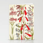 Wildflowers from "Rocky Mountain Flowers" (1914) by Edith Clements (benefitting The Nature Conservancy) Stationery Card Gallery Image 2