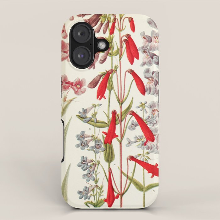 Wildflowers from "Rocky Mountain Flowers" (1914) by Edith Clements (benefitting The Nature Conservancy) iPhone Case Gallery Image 1