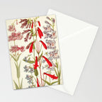 Wildflowers from "Rocky Mountain Flowers" (1914) by Edith Clements (benefitting The Nature Conservancy) Stationery Card Gallery Image 2