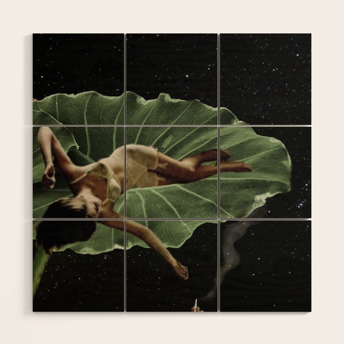 Break Wood Wall Art Gallery Image 1