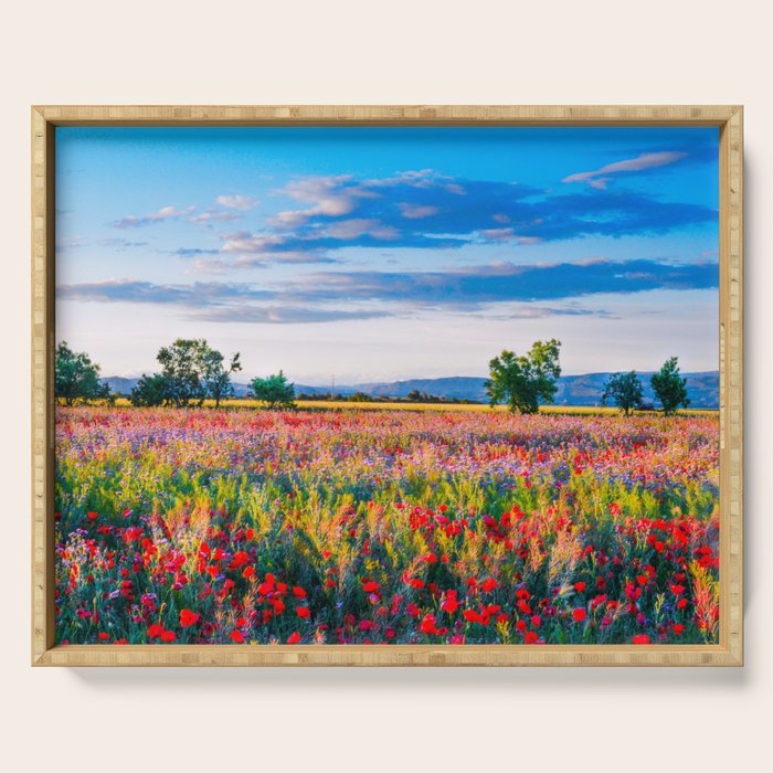 Red poppy field floral blossom landscape color photograph Serving Tray Gallery Image 1