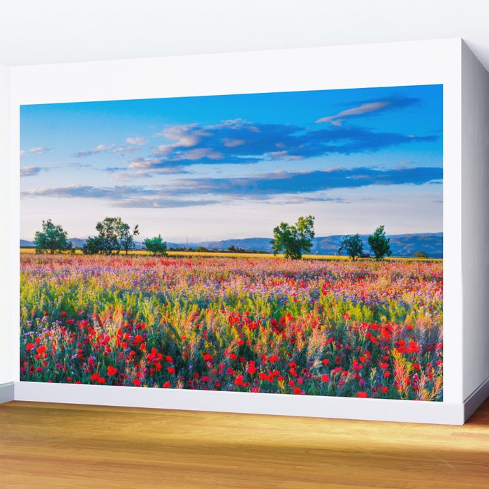 Red poppy field floral blossom landscape color photograph Wall Mural Gallery Image 2