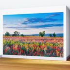 Red poppy field floral blossom landscape color photograph Wall Mural Gallery Image 2