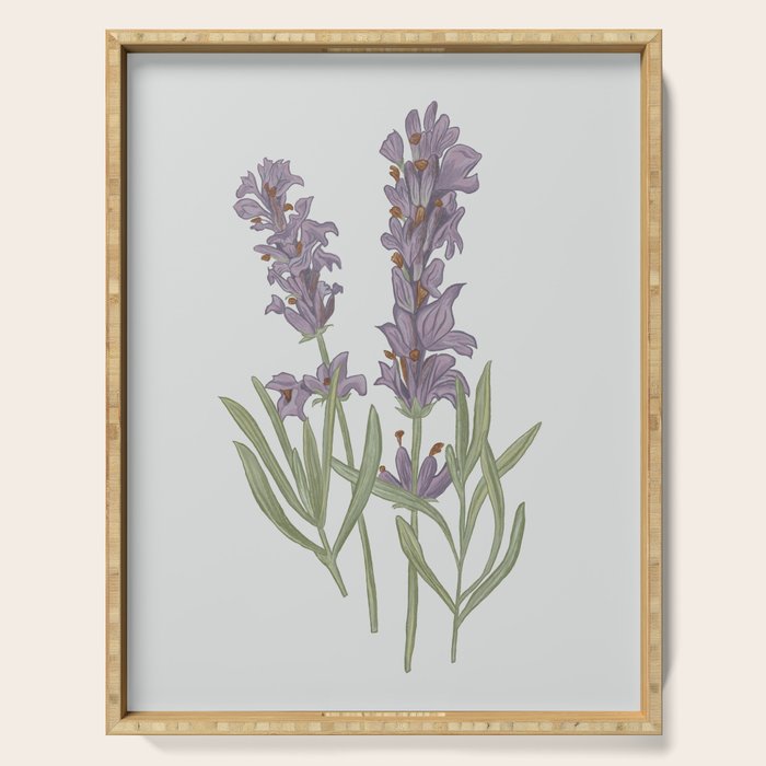 Lavender Flower Illustration Serving Tray Gallery Image 1