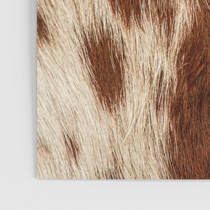 Cowhide Farmhouse Decor Poster Gallery Image 3