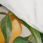  Mango Summer, India Fruits Still Life Tropical, Season Flower Pot Plants Botanical, Nature Plant Pots Blossom Juicy Painting Comforter Gallery Image 4