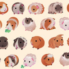 Guinea pig day Coffee Mug Gallery Image 2