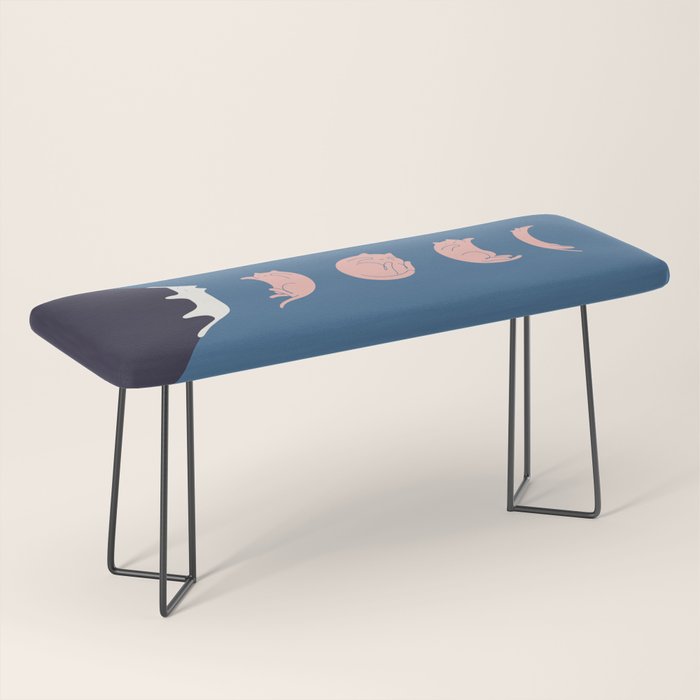 Cat Landscape 73 Bench Gallery Image 1