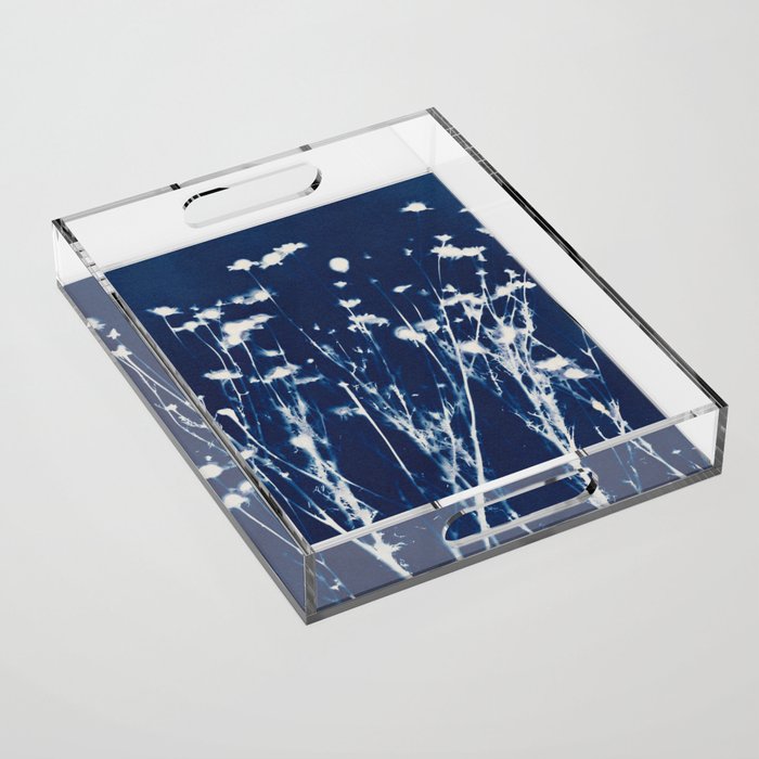 Magic in the Ordinary #10 Acrylic Tray Gallery Image 1