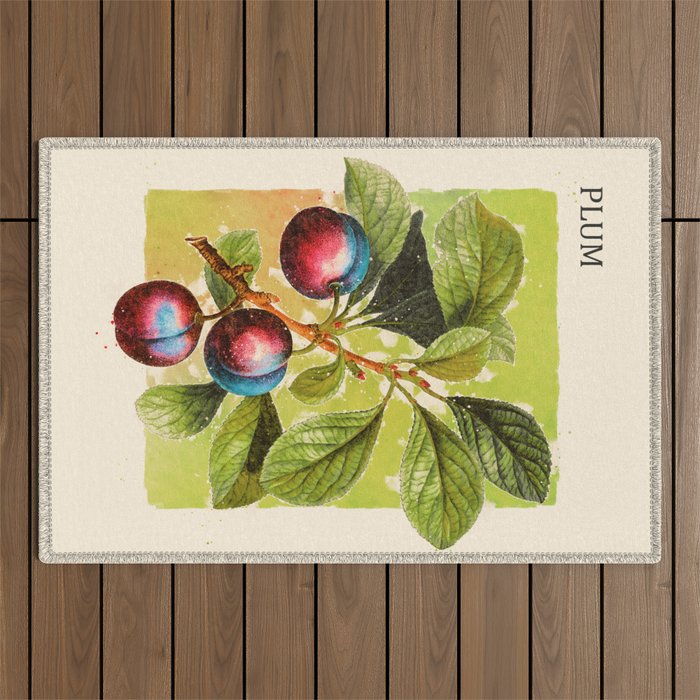 Plum Outdoor Rug Gallery Image 1