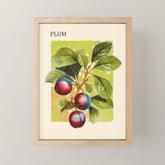 Plum Mini Art Print Gallery Image 1