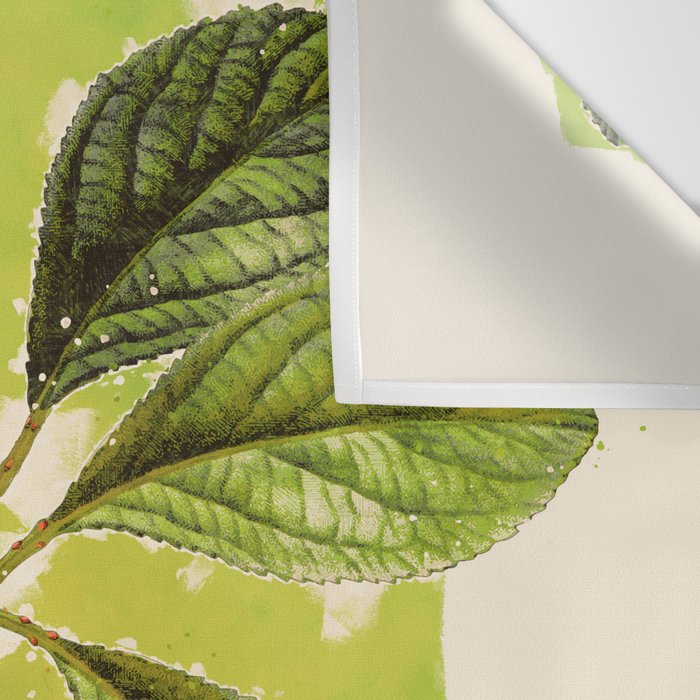 Plum Wall Tapestry Gallery Image 3