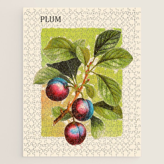 Plum Jigsaw Puzzle Gallery Image 1