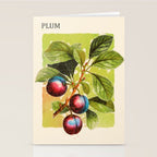 Plum Stationery Card Gallery Image 2