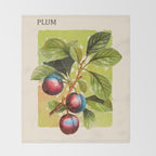Plum Throw Blanket Gallery Image 2