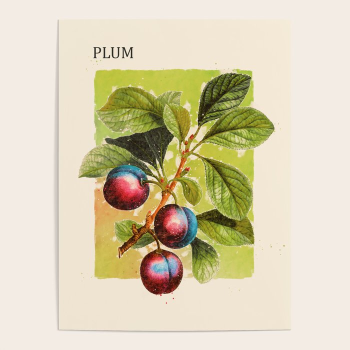Plum Poster Gallery Image 4