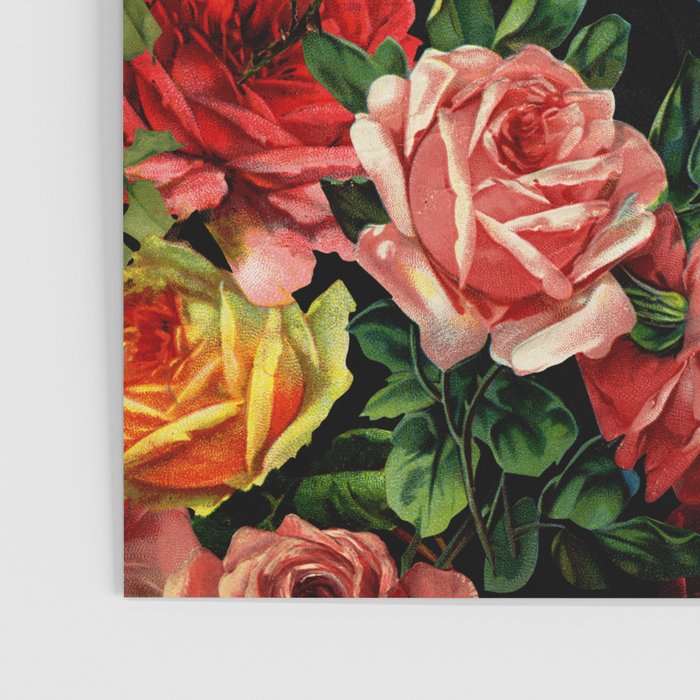 Vintage & Shabby chic - floral roses flowers rose Poster Gallery Image 3