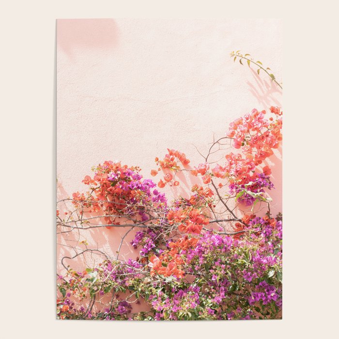 Bougainvillea Flowers in Color | Pink Wall in Cascais Art Print | Floral Travel Photography in Portugal Poster Gallery Image 1