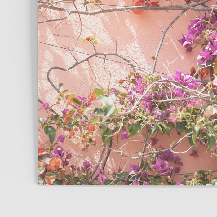 Bougainvillea Flowers in Color | Pink Wall in Cascais Art Print | Floral Travel Photography in Portugal Poster Gallery Image 3