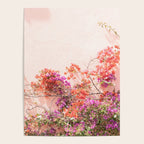 Bougainvillea Flowers in Color | Pink Wall in Cascais Art Print | Floral Travel Photography in Portugal Poster Gallery Image 4