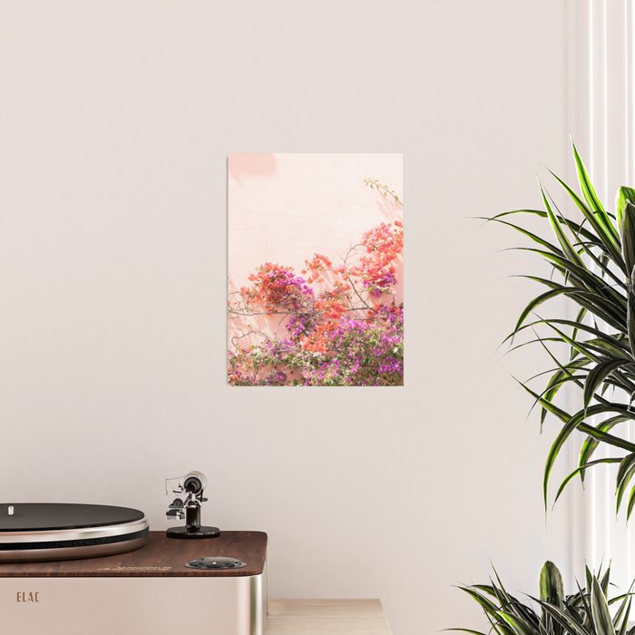 Bougainvillea Flowers in Color | Pink Wall in Cascais Art Print | Floral Travel Photography in Portugal Poster Gallery Image 2
