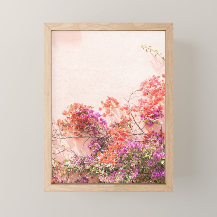 Bougainvillea Flowers in Color | Pink Wall in Cascais Art Print | Floral Travel Photography in Portugal Mini Art Print Gallery Image 1