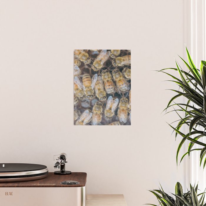 Honeybee Hive x environmental nature bee photograph Poster Gallery Image 2