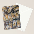 Honeybee Hive x environmental nature bee photograph Stationery Card Gallery Image 2