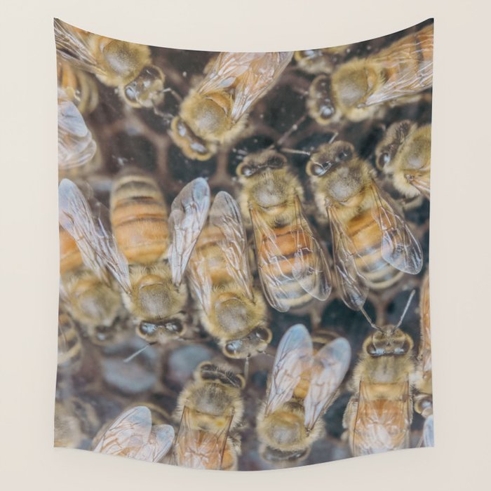 Honeybee Hive x environmental nature bee photograph Wall Tapestry Gallery Image 4
