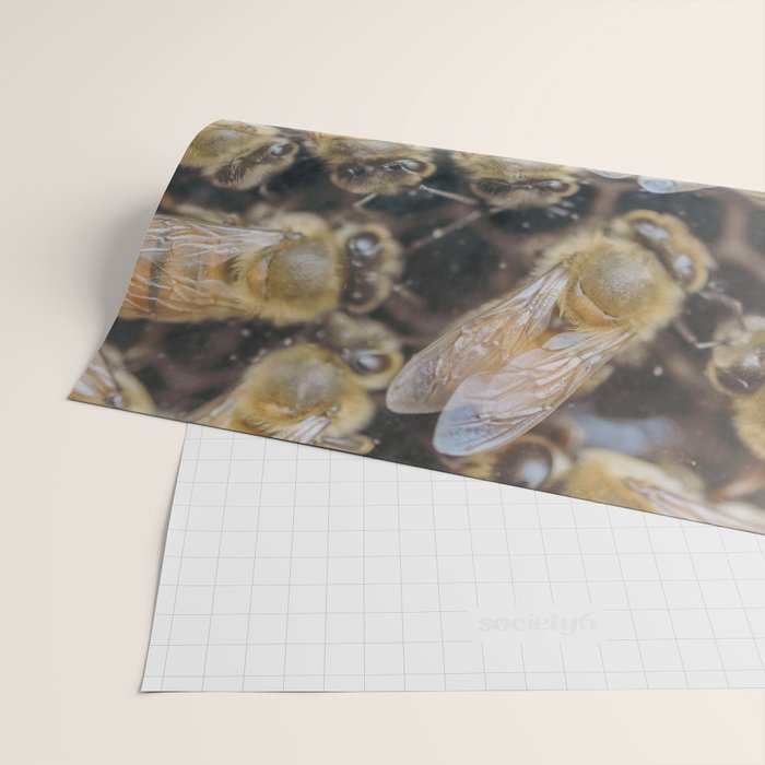 Honeybee Hive x environmental nature bee photograph Wrapping Paper Gallery Image 2