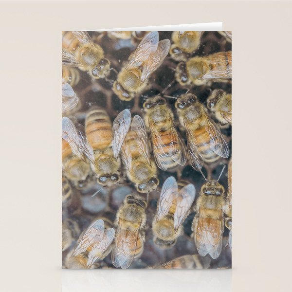 Honeybee Hive x environmental nature bee photograph Stationery Card Gallery Image 2