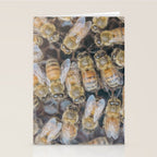 Honeybee Hive x environmental nature bee photograph Stationery Card Gallery Image 2