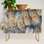 Honeybee Hive x environmental nature bee photograph Credenza Gallery Image 1